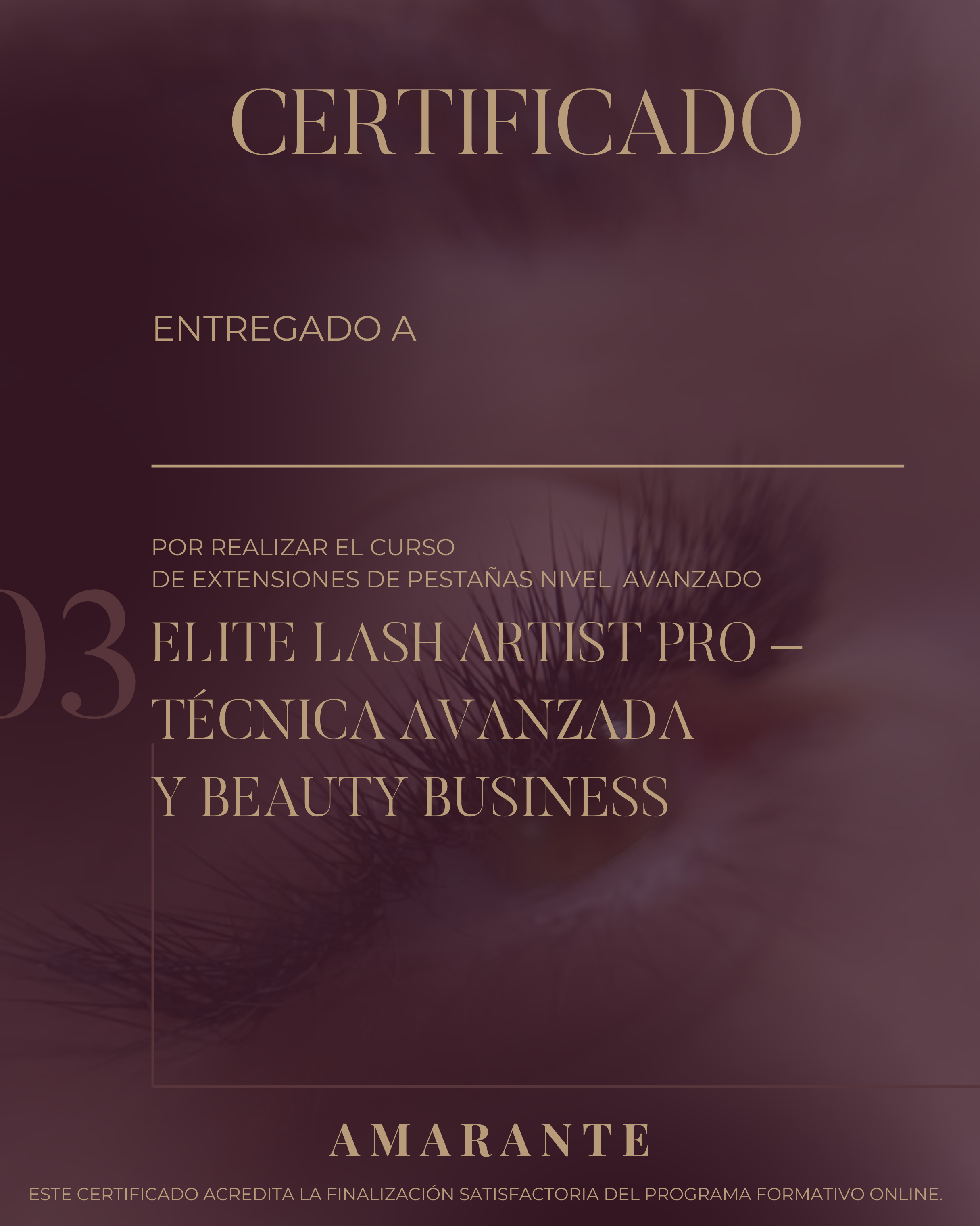 Certificado curso online 
